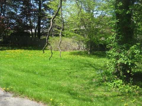 130 Stouffville Rd, Richmond Hill, L4E3P3 | Image 2