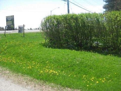 130 Stouffville Rd, Richmond Hill, L4E3P3 | Image 3