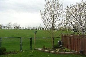 109 Golden Gate Circ, Vaughan, L4H1N6 | Image 2