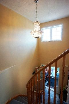 16 Raffia Ave, Richmond Hill, L4E4M9 | Image 3