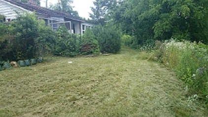 8519 Islington Ave, Vaughan, L4L1X3 | Image 3