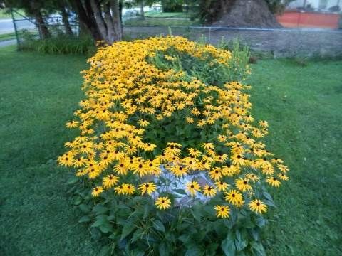 1274 Killarney Beach Rd, Innisfil, L0L1C0 | Image 3