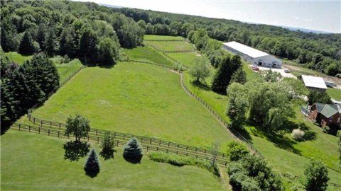 1148 10th Sdrd, New Tecumseth, L0G 1W0 | Image 2