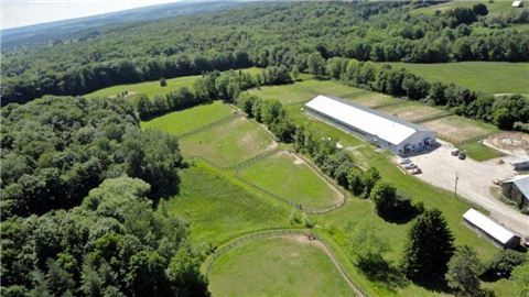 1148 10th Sdrd, New Tecumseth, L0G 1W0 | Image 3