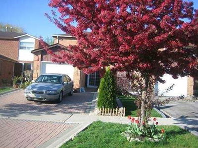 Semi-Detached House sold at 52 Ashcroft Court, Vaughan, East Woodbridge, L4L1H2 - MLS: N3214785