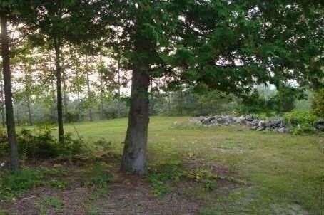 15 Glenview Heights Lane, King, L3Y4V9 | Image 3