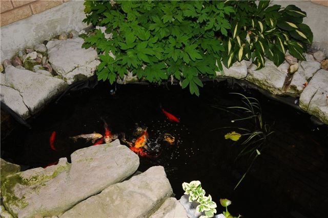 785 Quantra Cres, Newmarket, L3X 1M9 | Image 3