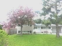 Detached House sold at 10 Alanadale Avenue, Markham, Ontario, L3P1S3 - Bullock - MLS: N3293552