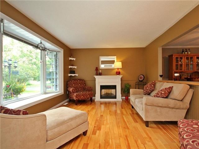 135 King St, Adjala-Tosorontio, L0M1M0 | Image 3