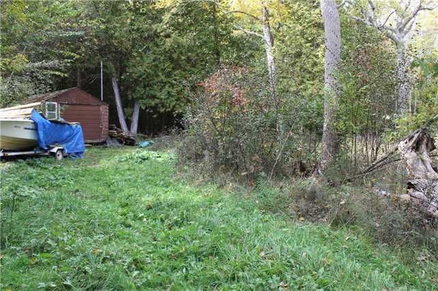 12 Christidis Dr, Georgina, L0E1L0 | Image 2