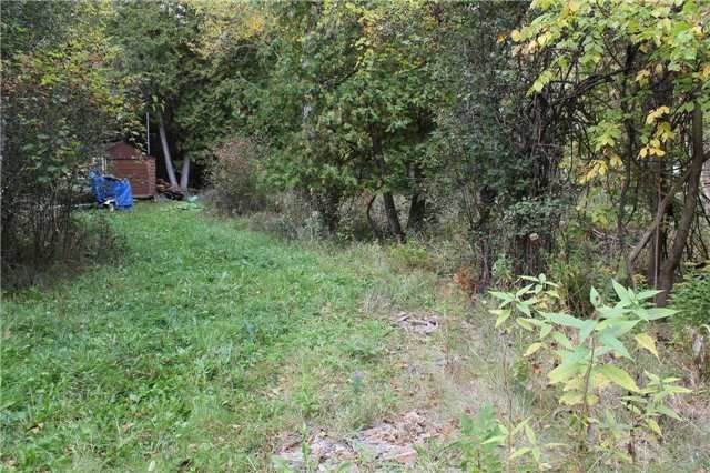 12 Christidis Dr, Georgina, L0E1L0 | Image 3