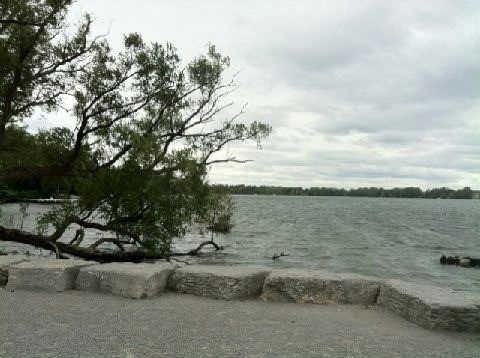 11 Kohl St, Richmond Hill, L4E0Z4 | Image 3