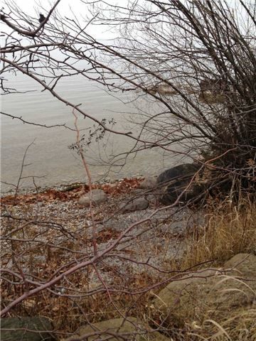 415 Lake Dr E, Georgina, L4P1P3 | Image 2