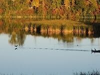 130 St. John's Sdrd E, Aurora, L4G 0M6 | Image 3