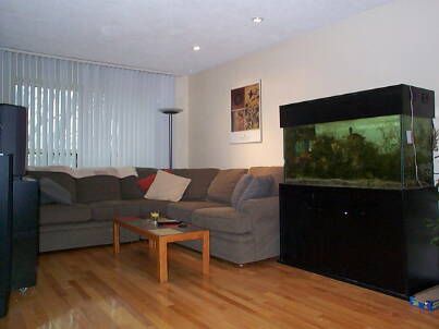 127 Snowshoe Cres, Markham, L3T4N1 | Image 2