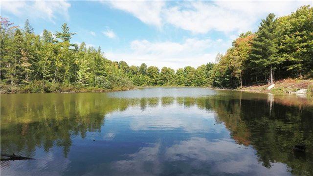 3134 Bloomington Rd, Whitchurch-Stouffville, L4A 4A2 | Image 2