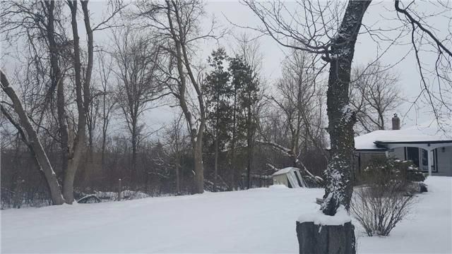 11631 Leslie St, Richmond Hill, L4E3R7 | Image 2