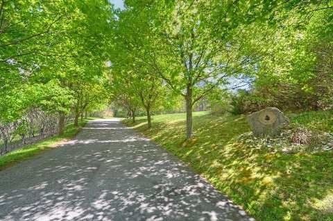 8 Greenvalley Circ, Whitchurch-Stouffville, L3Y4W1 | Image 2