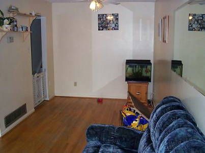 14 Rogers Rd, New Tecumseth, L0G1W0 | Image 2