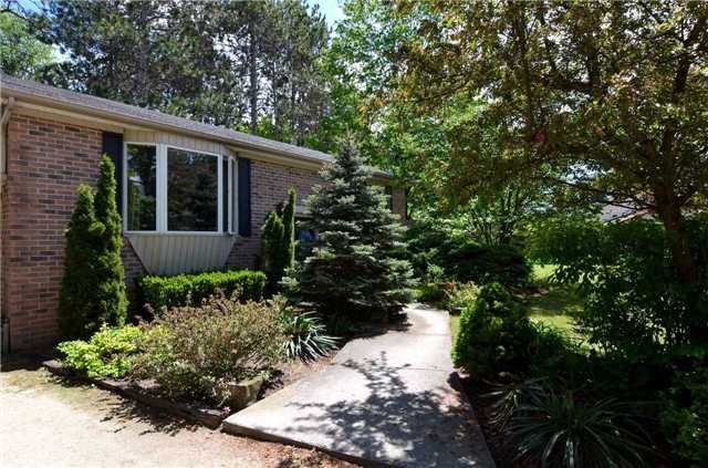 19 Pine Park Blvd, Adjala-Tosorontio, L0M1J0 | Image 3