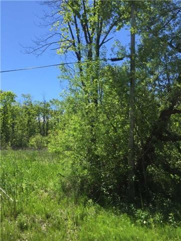 Lot 11 Donna Dr, Georgina, L0E1N0 | Image 2