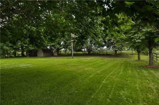 5885 7th Line, New Tecumseth, L0G1A0 | Image 3