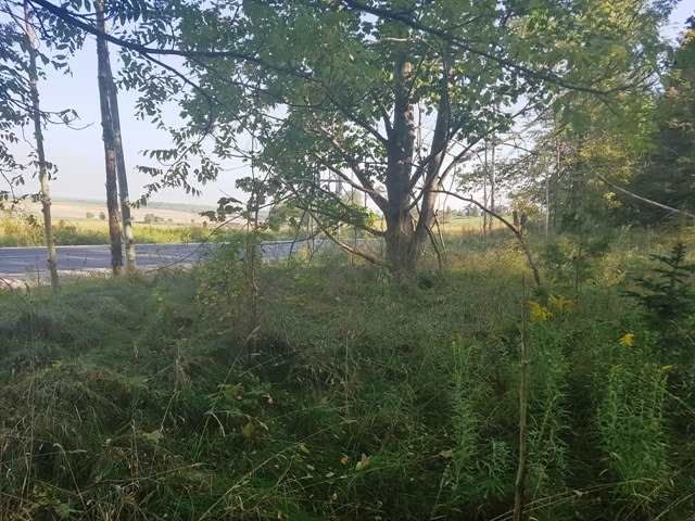 2464 15th Sdrd, New Tecumseth, L0G1A0 | Image 2