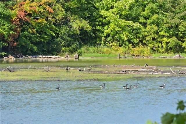 3134 Bloomington Rd, Whitchurch-Stouffville, L4A7X5 | Image 3