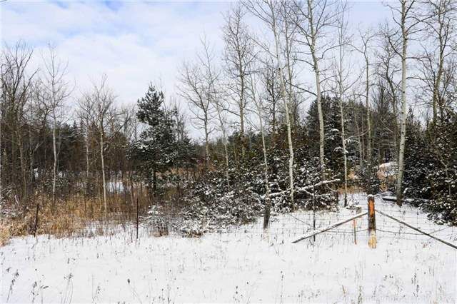 Land sold at 3152 Davis Drive, East Gwillimbury, Rural East Gwillimbury, L0G 1E0 - MLS: N4033943