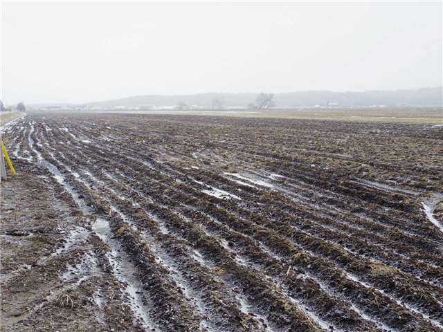 670 Strawberry Lane, King, L3Y4V9 | Image 3