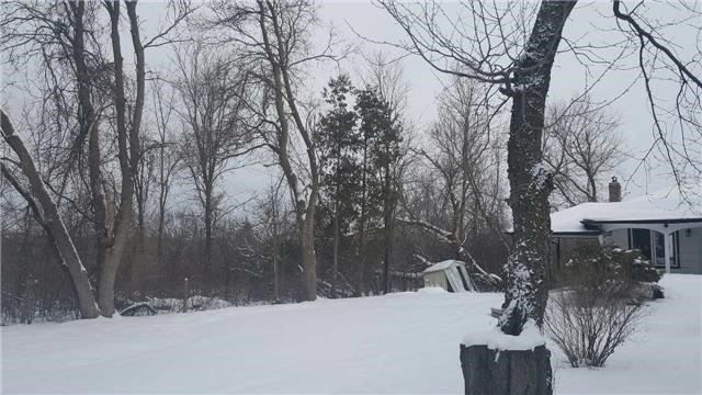 11631 Leslie St, Richmond Hill, L4E3R7 | Image 2