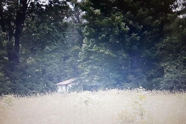 Lot 97 Ashwood Ave, Georgina, L0E1S0 | Image 3