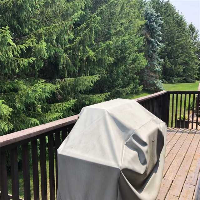 16 Green Briar Rd, New Tecumseth, L9R1R5 | Image 2