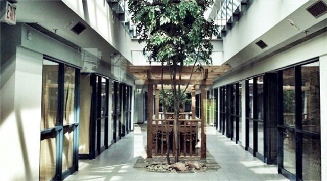 118 - 8901 Woodbine Ave, Markham, L3R9Y4 | Image 3