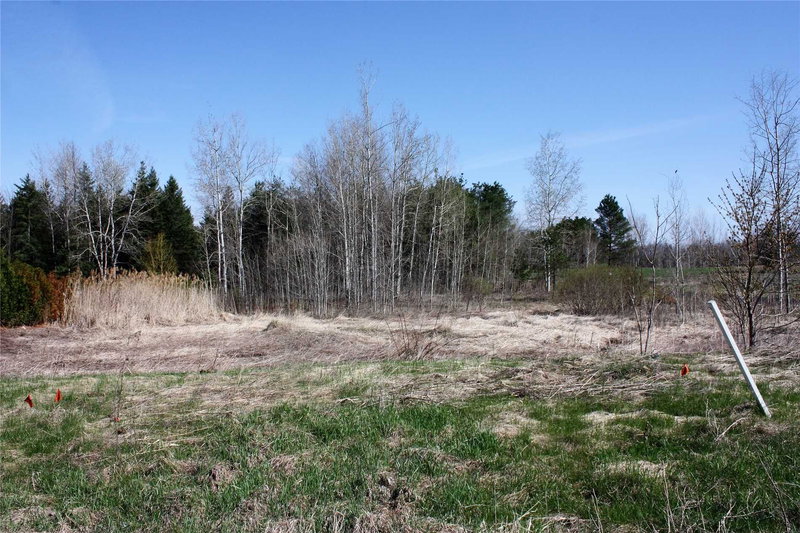 130 Dale Cres, Bradford West Gwillimbury, L0L1L0 | Image 3