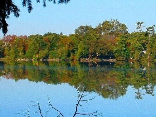 17 Connor Dr, Whitchurch-Stouffville, L4A 7X3 | Image 2