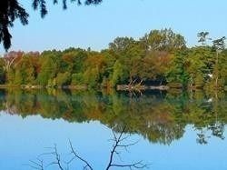 17 Connor Dr, Whitchurch-Stouffville, L4A 7X3 | Image 2