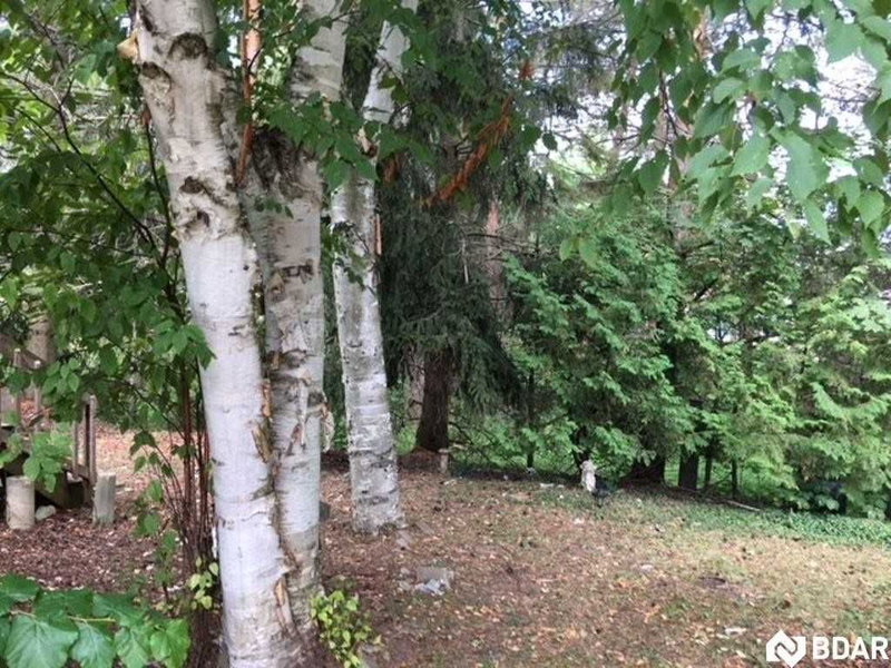 18 Cherrywood Lane, Innisfil, L9S 1M6 | Image 3