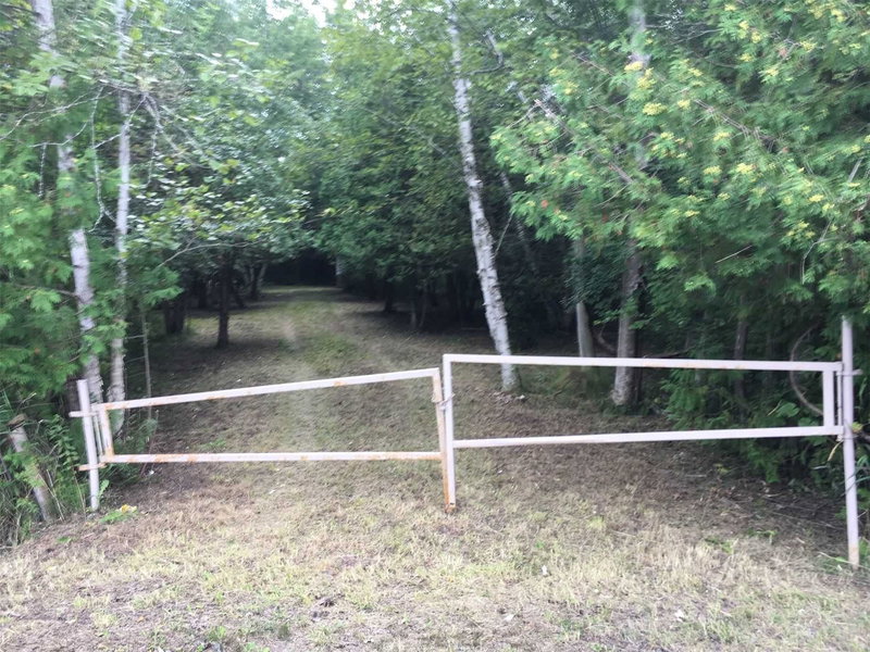 122-123 Riverview Beach Rd, Georgina, L0E 1N0 | Image 3