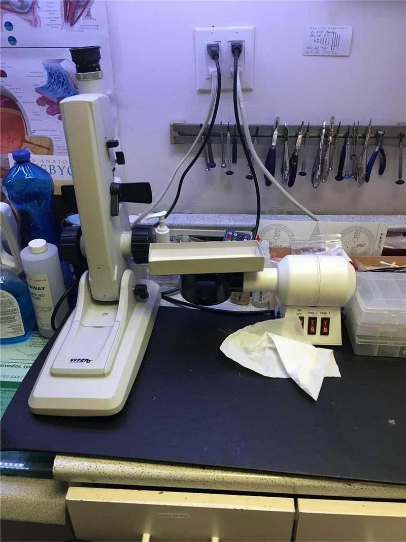 15 - 9555 Yonge St, Richmond Hill, L4C9M5 | Image 3