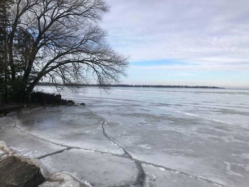 Lot 11 Donna Dr, Georgina, L0E1N0 | Image 3