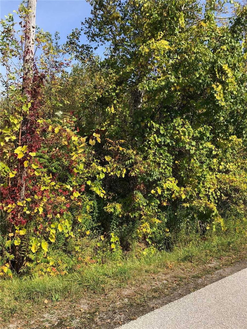 Lot 168 Dorothy Ave, Georgina, L0E1R0 | Image 2