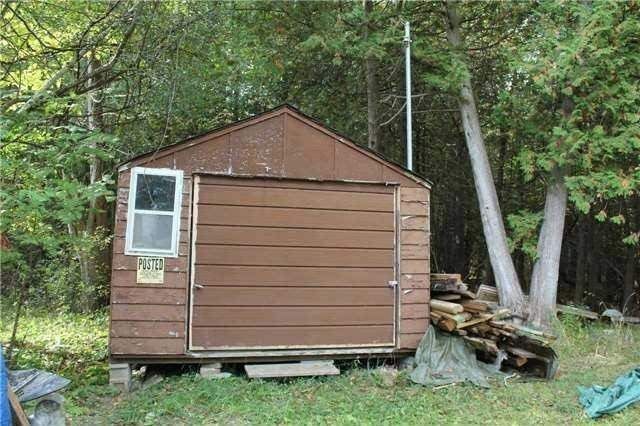 12 Christidis Dr, Georgina, L0E1L0 | Image 3