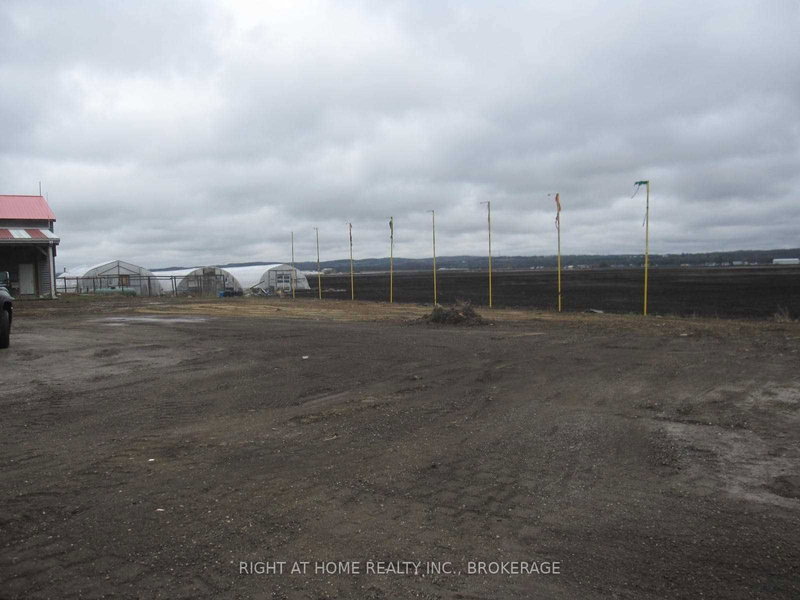 1153 Canal Rd, Bradford West Gwillimbury, L3Z 4E2 | Image 2