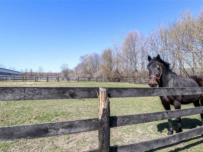 1148 10th Sdrd, New Tecumseth, L0G 1W0 | Image 3