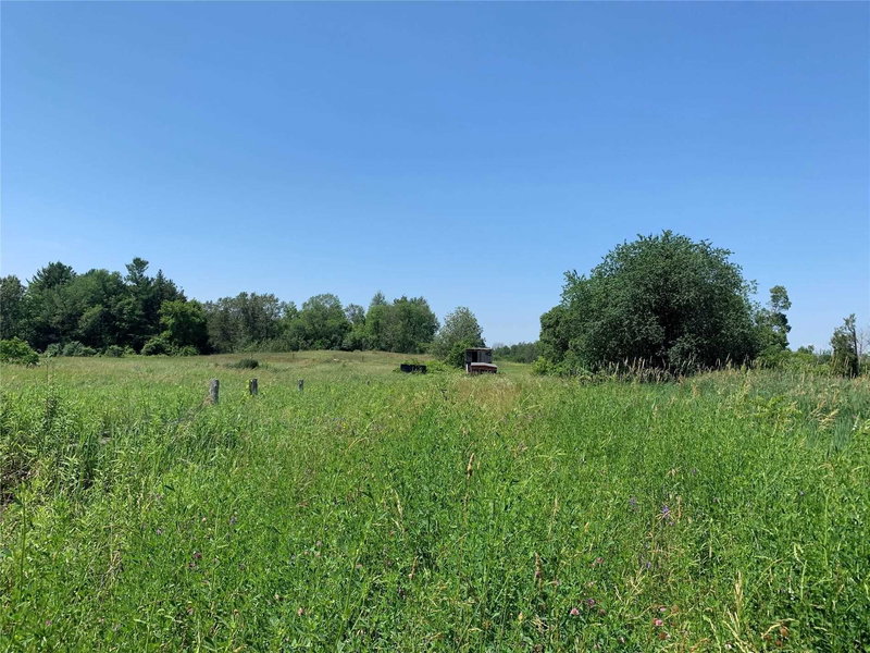 15672 Warden Ave, Whitchurch-Stouffville, L4A2Mb | Image 3