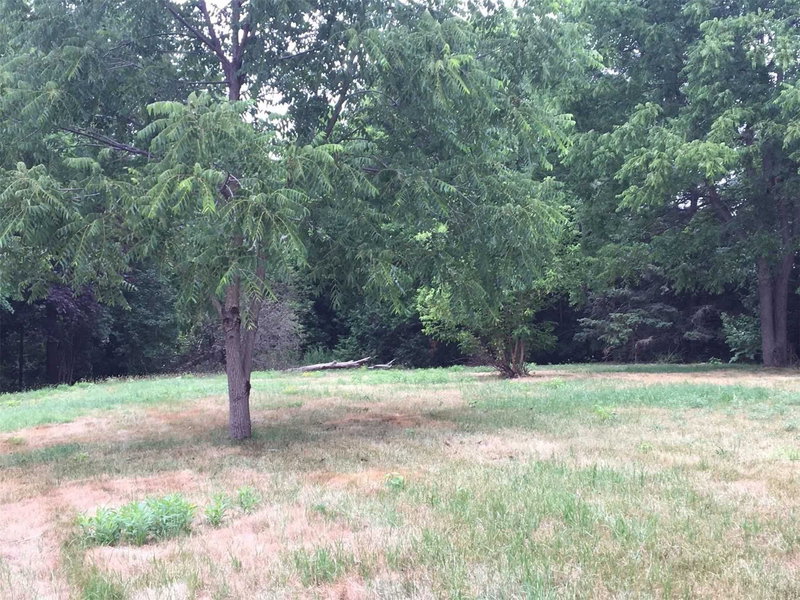 13358 Highway 48, Whitchurch-Stouffville, L4A3B2 | Image 2