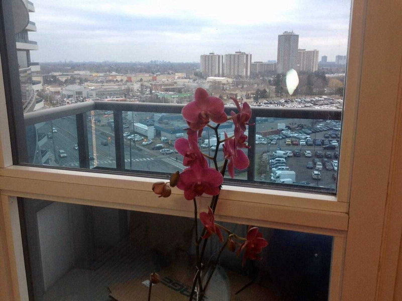Room1
