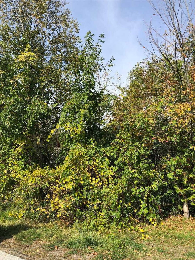 Lot 168 Dorothy Ave, Georgina, L0E1R0 | Image 2