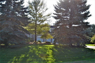 Detached House leased at Lower-90 Offord Crescent, Aurora, Ontario, L4G0K5 - Bayview Southeast - MLS: N4972525
